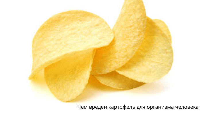 Чем вреден картофель для организма человека